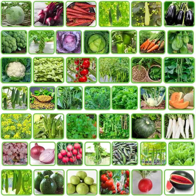 Vegetable Seeds Pack - Different Variety Packs