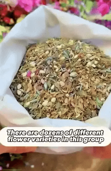 Flower Seeds - Different Varieties
