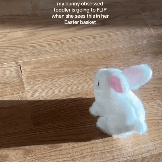 Walking & Hopping Rabbit Toy
